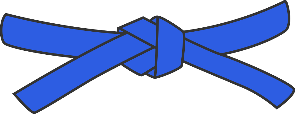Télécharger Examen Ceinture bleue